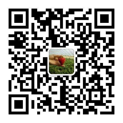 掃描關(guān)注網(wǎng)站微信公眾賬號(hào)